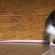 مؤامرة ضد الفئران والجرذان مؤامرة ضد القوارض